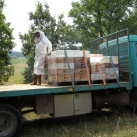 Récolte et transhumance - Le nectar des Alpilles